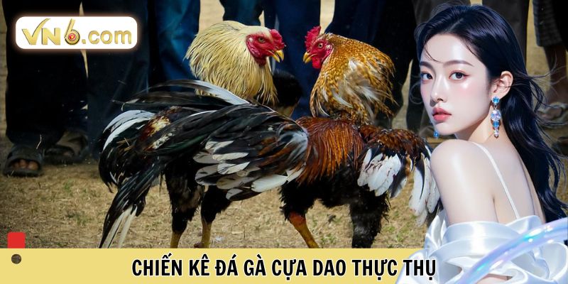 Đá Gà Cựa Dao Đỉnh Cao Tại Đấu Trường Trực Tuyến VN6 - WINMEADOW