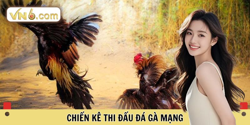 Đá Gà Mạng Đỉnh Cao Tại Đấu Trường Cá Cược Trực Tuyến VN6 - WINMEADOW