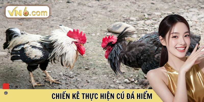 Đá Gà VN6 Đấu Trường Cá Cược Trực Tuyến Đỉnh Cao Nhất - WINMEADOW