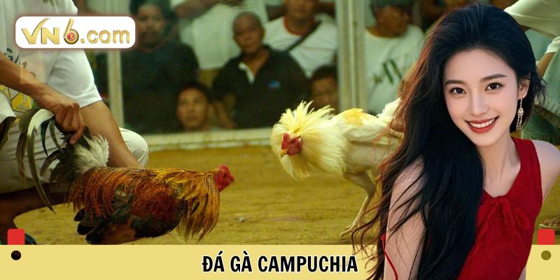 Đá Gà Campuchia Đỉnh Cao Cá Cược Trực Tuyến Tại VN6 - WINMEADOW