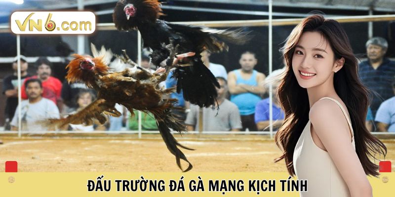 Đá Gà Mạng Đỉnh Cao Tại Đấu Trường Cá Cược Trực Tuyến VN6 - WINMEADOW