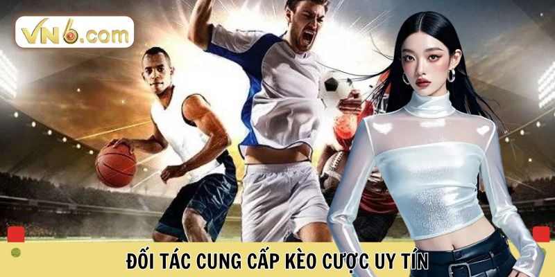 Thể Thao VN6 Chi Tiết Các Sảnh Cược Đỉnh Cao Tại Nền Tảng - WINMEADOW