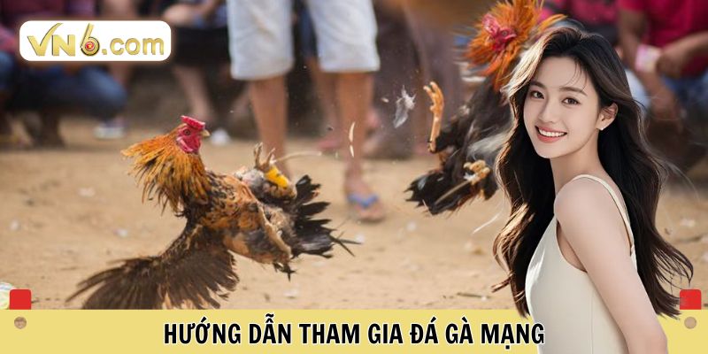 Đá Gà Mạng Đỉnh Cao Tại Đấu Trường Cá Cược Trực Tuyến VN6 - WINMEADOW