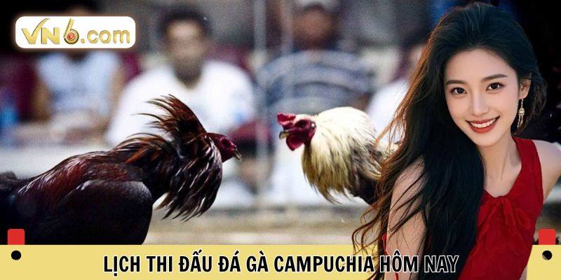 Đá Gà Campuchia Đỉnh Cao Cá Cược Trực Tuyến Tại VN6 - WINMEADOW