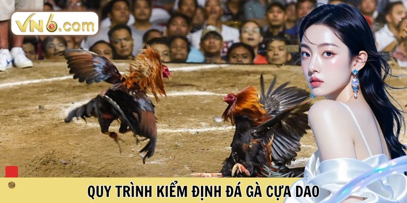 Đá Gà Cựa Dao Đỉnh Cao Tại Đấu Trường Trực Tuyến VN6 - WINMEADOW