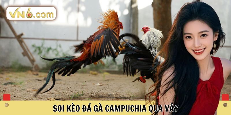 Đá Gà Campuchia Đỉnh Cao Cá Cược Trực Tuyến Tại VN6 - WINMEADOW