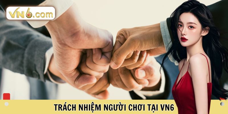 Miễn Trừ Trách Nhiệm Quy Định Pháp Lý Tại Hệ Thống - WINMEADOW